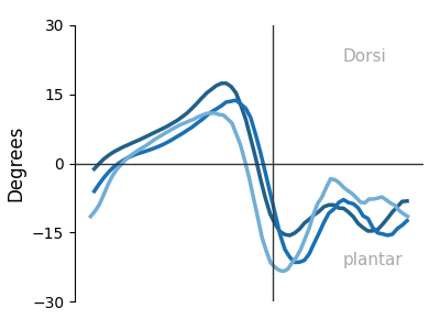 Right foot dorsiflexion heatmap